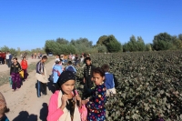 Daewoo: Przestań wspierać niewolnictwo w Uzbekistanie!